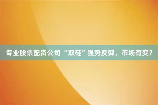 专业股票配资公司 “双硅”强势反弹，市场有变？