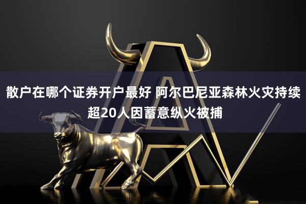 散户在哪个证券开户最好 阿尔巴尼亚森林火灾持续 超20人因蓄意纵火被捕