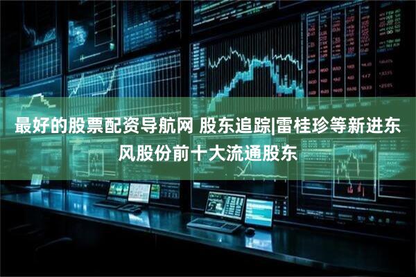 最好的股票配资导航网 股东追踪|雷桂珍等新进东风股份前十大流通股东
