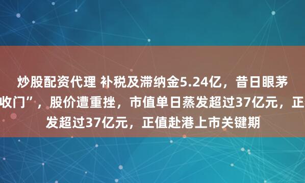 炒股配资代理 补税及滞纳金5.24亿，昔日眼茅爱尔眼科爆发“税收门”，股价遭重挫，市值单日蒸发超过37亿元，正值赴港上市关键期